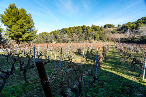 Domaine des Bosquets