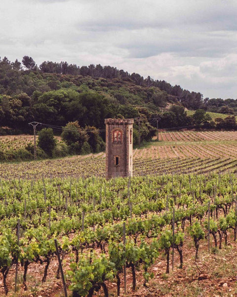Châteauneuf-du-pape