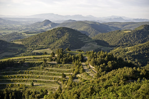 Domaine des Bosquets